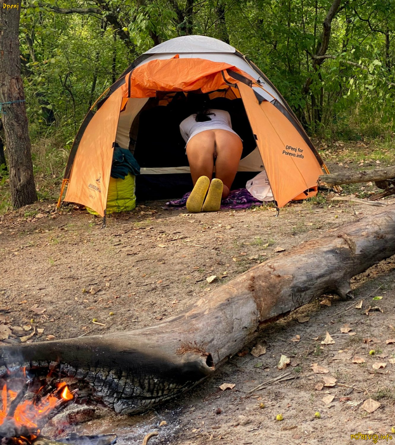 ASS & TENT - 1 #EXr7mkvx